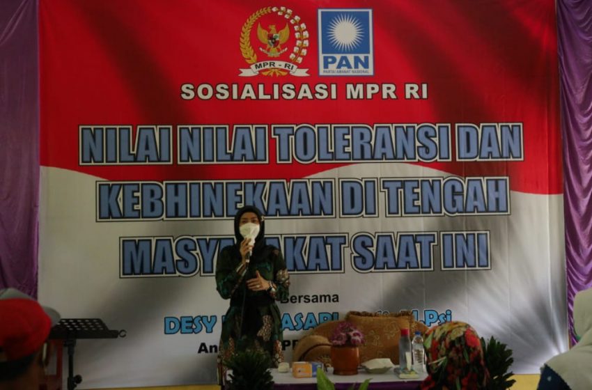  Desy: Kita Harus Menumbuhkan Sikap Toleransi Sesama Anak Bangsa