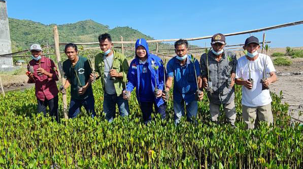  Syafrudin Tanam 950 ribu Mangrove di Dompu NTB